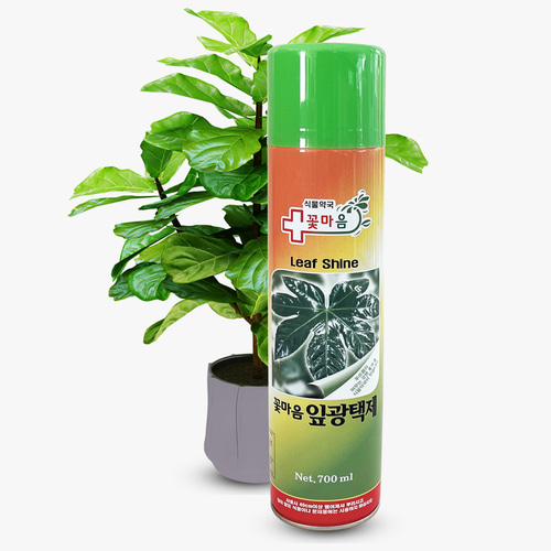 꽃마음잎광택제/식물윤기/수분증발억제